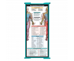 WhiteCoat Clipboard® Trifold - Teal Occupational Therapy Edition